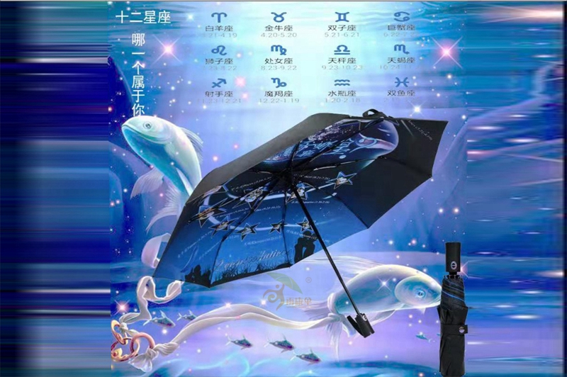 星座小蝌蚪视频色版自動傘 yk-SJZD91