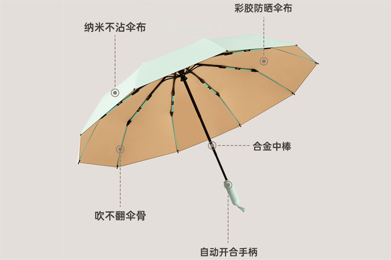 10K20骨小蝌蚪视频色版自開收傘 yk-SJZD131